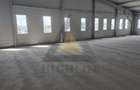 2750 MP HALA BALOTESTI| 5170 MP TEREN| A3| A0| DN1 - 6