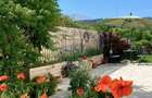 Vilă unicat în Borhanci – atmosferă de vacanță, apartament independent - 5