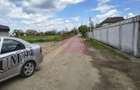 Poșta -Teren 12.450mp pretabil hală/rezidențial la 150ml de utilități - 21