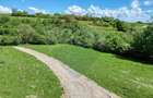 Teren 500mp Tohanita (intre castelul Bran si Zarnesti), padure + parau - 4