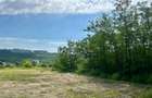 Teren intravilan 522mp Rediu Beldiman Valea Lupului - 6