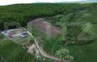 Teren 15.100 mp la baza pădurii – ideal parcelare | 14 loturi | priveliște super - 4