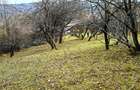 Teren Breaza 2623mp , pot 35% , cut 1,2 conform cert urb.intravilan - 12