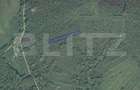 Teren intravilan de vanzare, 2697 mp, in Ardud Vii - 1