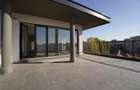 Vanzare apartament 3 camere Lux - Timpuri Noi - Penthouse - 6
