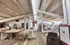 Hale industriale Teliu - 145000e  200.000e  450000e - 3