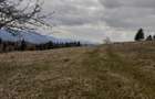 Vind casă și teren în satul Costești, comuna Albac județul Alba   - 5