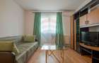 Apartament cu 2 camere de închiriat în zona Grivitei - 5