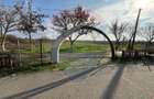 Teren 7.094 mp Buftea lângă parc – POT 30%, CUT 1, ideal dezvoltare - 3