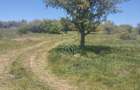 Teren 4400 mp -Parcelabil - panoramic -  Subcetate. - 1