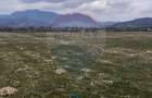 Teren 10,000mp Rasnov / Drumul Panicel - 9