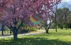 Vanzare duplex 4 camere Parcul Tineretului vedere superba 183 mp - 5