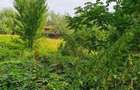 PARADISUL VERDE- teren in suprafata de 1 326 mp,. utilitati - 3