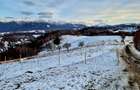 Sat Peștera – Moeciu | Vedere panoramică Bucegi & Piatra Craiului - 5