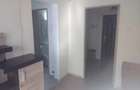 Apartament cu 2 camere in Tatarasi-Flora,la bulevard - 6