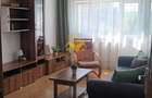 2 camere decomandate, Intre Lacuri, Iulius Mall, FSEGA, Profi, Auchan - 3