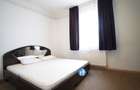 Inchiriere apartament 2 camere Cismigiu - 7