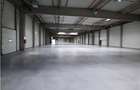 Spatiu Industrial - 2500  mp - Productie - Depozitare - 1