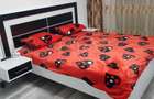 Apartament cu 3 camere in Zona Florilor. - 5