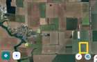 Teren agricol 19Ha comasate 346mx548m la 800m distanta fata de DN2 - 1