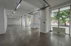 Spatiu Comercial | 261 mp | 20m Vitrina | Tineretului | Parc Carol - 2