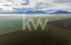Teren exceptional pentru investitii industriale langa Brasov - 6
