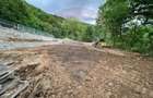 Teren intravilan 1100 mp pe malul Cernei ,Băile Herculane | Investitie - 1