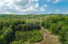 De vânzare casă cu teren și pădure 55706 mp - Șinteu, Valea Târnei - 16