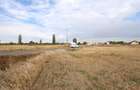 LOTURI PENTRU CASA - 420mp + 89mp drum - Otopeni, Ilfov - IN CURS DE AUTORIZARE - 2