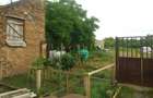 Casa 3 camere + teren in Pojejena, jud. Caras Severin - 15
