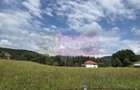 Vila din padure in Valea Doftanei - 34