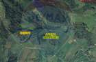 Pădure de vanzare cu zona de cabană Odesti - 1
