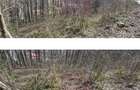 Teren 338mp, cu proiect bloc garsoniere D+P+E+M - Sinaia
