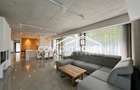 Vila moderna, P+2, mobilat, IANCU NICOLAE - 4