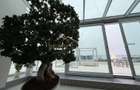 Exclusive Penthouse *514sqm* / terrace 255sqm - Lake View // Floreasca - 5