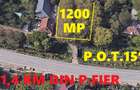 Central . 1200 mp la 1,4 km din Podu de Fier , toate utilitatile - 2