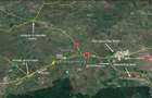 TEREN CU POTENTIAL INDUSTRIAL/ SERVICII | 9,44 HA | ARAD, PECICA - 3