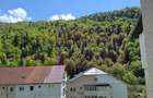 Apartament cu 2 camere de vanzare in Azuga - 17