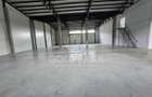 Spatiu Comercial/Hala - Baciu - Constructie Noua/Parcare - 25