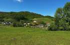 Teren intravilan de vanzare 1439 mp Luncani strada Slatinei - Bacau - 5