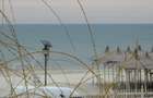 Mamaia Nord Super Locatie Casa P+1 Frontala La Mare Cu Piscina Incalzita 1195 mp - 11