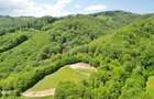 Teren extravilan Via Transilvanica - 14
