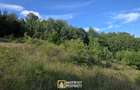 Pădure și pășune de vânzare 8,2037 ha Borod, Bihor