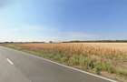 Teren extravilan 5.050 mp Fundulea (Gostilele) – Deschidere la DJ 402 - 2
