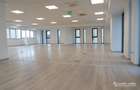 Birouri sau showroom aproape de aeroport - 3