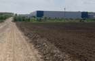 Sos de Centura Pantelimon Vanzare Teren 3,5 HA si 1, 1 HA - Cernica  25400MP - 6