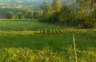 Teren intravilan 5360mp Bistrita Nasaud | Tiha Bârgăului - 10