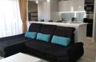 De vanzare ap 2 camere mobilat Baba Novac Belvedere - 1