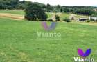 Oportunitate-Teren Extravilan 3100 mp cu vedere Panoramica-Tropinii Noi-Rasinari - 2