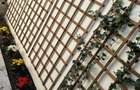 Casă 3 camere renovată complet, ultracentral, lângă Tomis M - 3